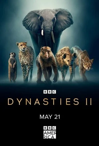 Dynasties II (2022)